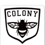 Colony Skateshop and School